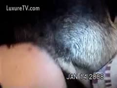 A dog screwed a bitch.